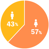 文系・理系の比率のイメージ